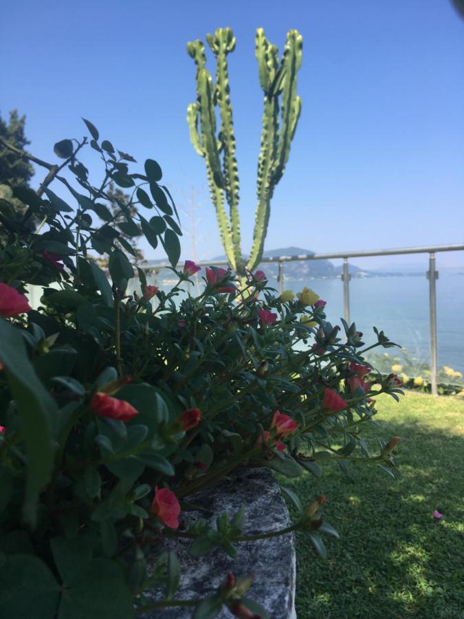 Villa Evita Μεσογγή Εξωτερικό φωτογραφία