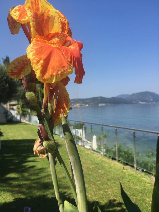 Villa Evita Μεσογγή Εξωτερικό φωτογραφία